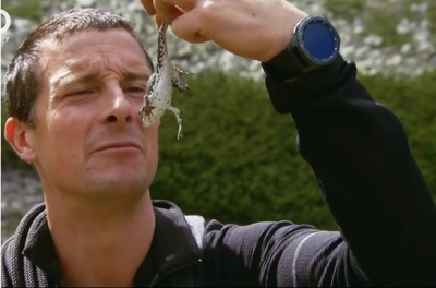 Bear Grylls and his filming team paid 2 fines, each in the amount of BGN 1000 to 10,000 for violations in Rila National Park