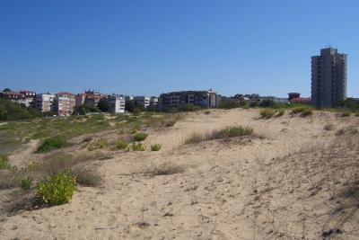 Mayor of Sozopol: "When land was given, no one spoke of dunes!" (?!)